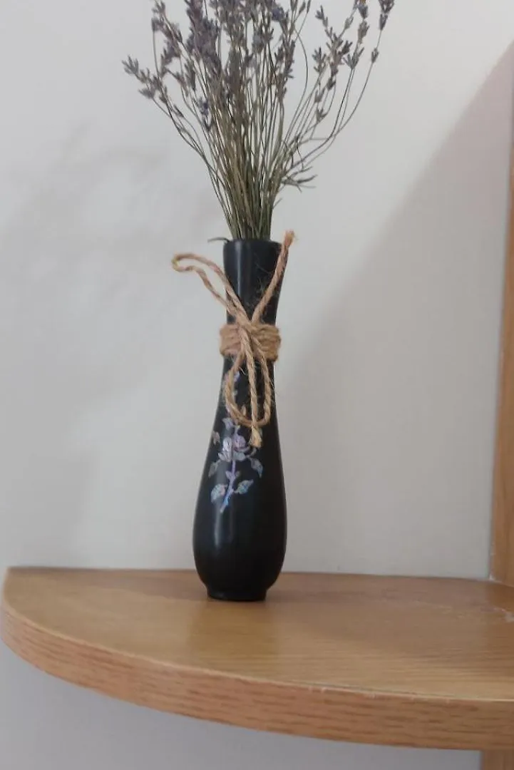 Center apartment Lviv